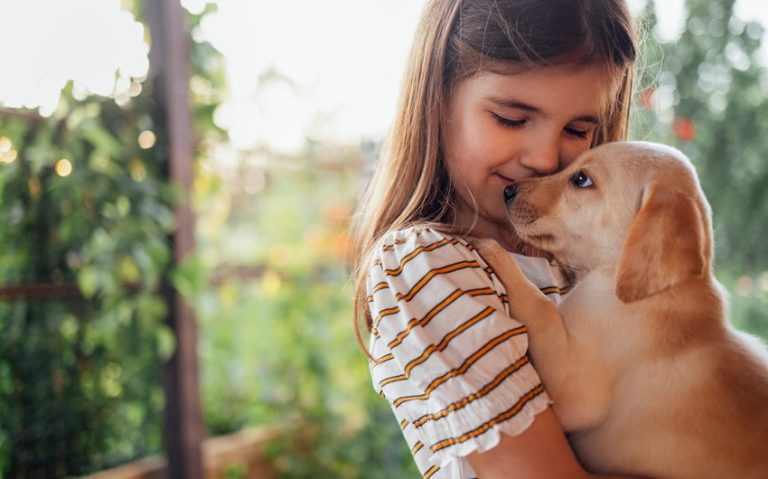 Animal-Assisted Therapy for Children: The Healing Power of Pets