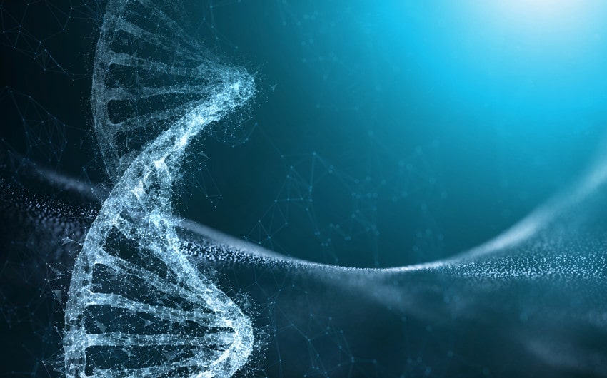 Guide To Peptides For Longevity