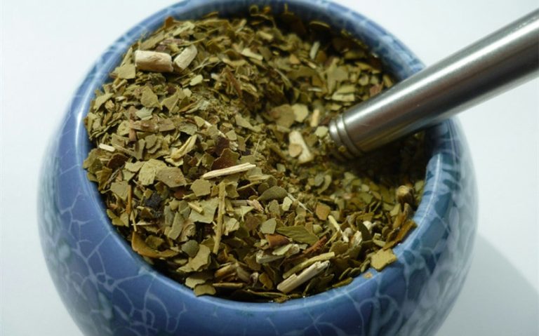 The Health Benefits of Yerba Mate Tea