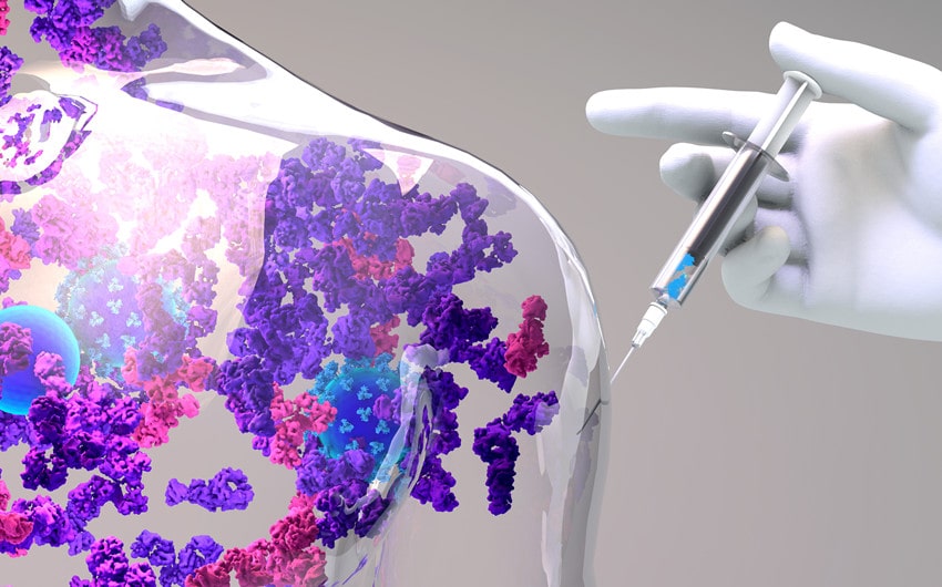 Creative Reflection on Immune Reprogramming