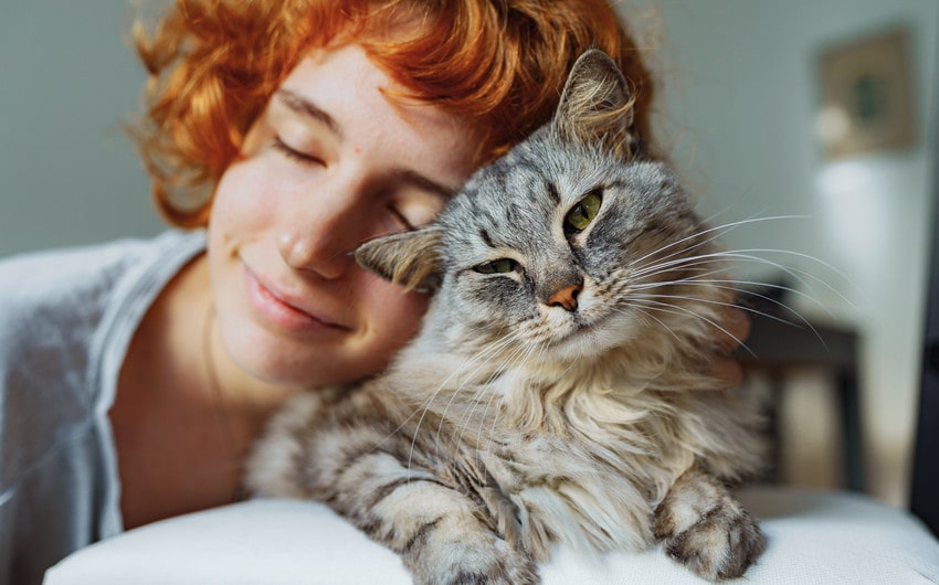 Cat Deserves Quality Insurance Coverage