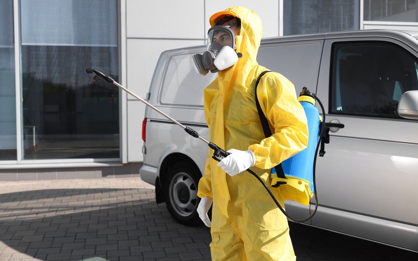 wasp removal in paper mills