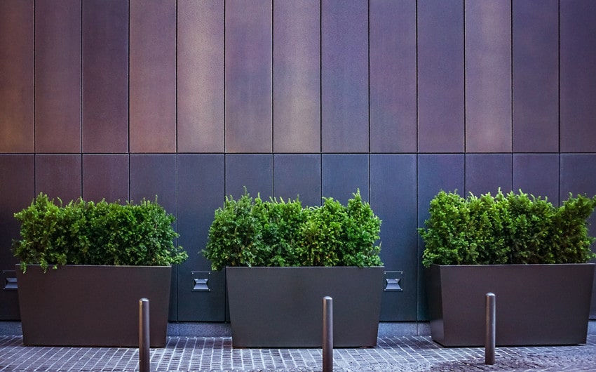 Fill a Large Outdoor Planter