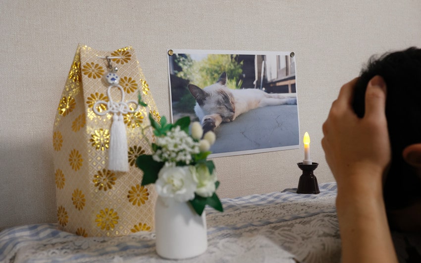 pet funerals are becoming increasingly more popular