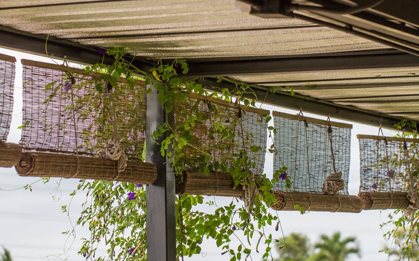 understanding woven wood shades
