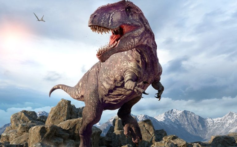 Uncovering Prehistoric Mysteries: What Was the Biggest Carnivorous Dinosaur?