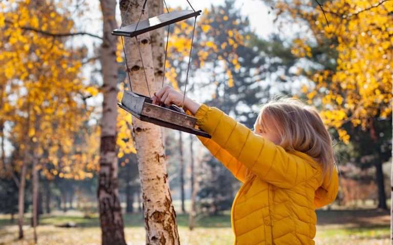 The Art of Designing a Bird-Friendly Garden