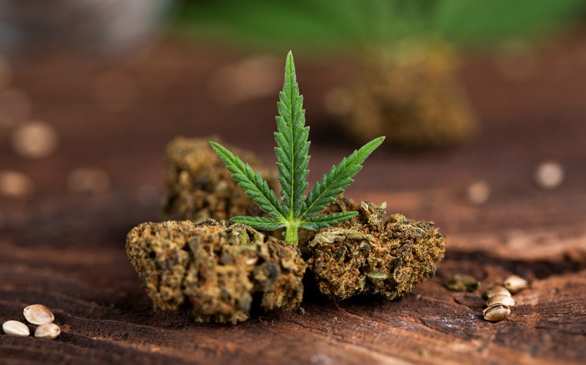 northern lights bulk flower indica