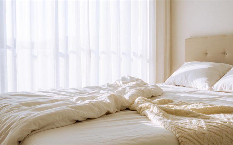 Why DIY Bed Bug Treatments Rarely Work in London Homes