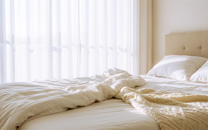 DIY Bed Bug Treatments