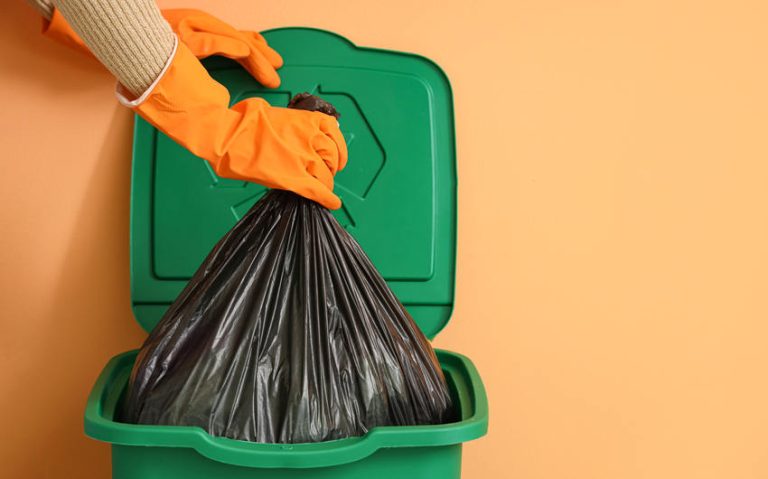 Complete Installation and Repair Solutions with Garbage Disposal Services in Whittier