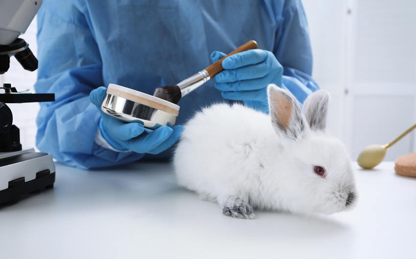 working adults earning animal science degrees